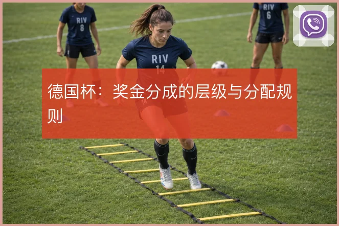 德国杯:奖金分成的层级与分配规则