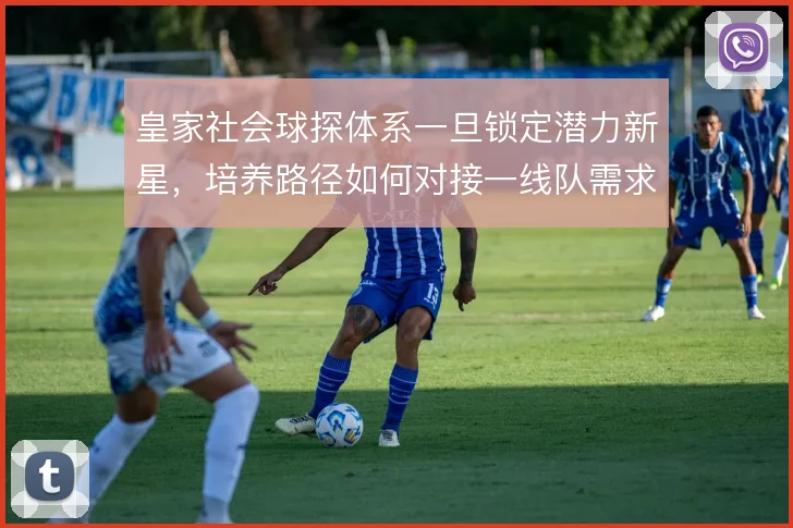 皇家社会球探体系一旦锁定潜力新星,培养路径如何对接一线队需求