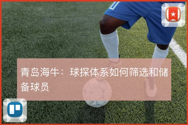 青岛海牛：球探体系如何筛选和储备球员