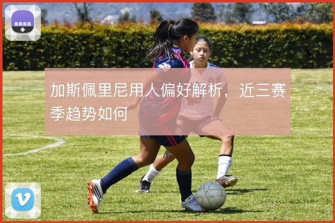 加斯佩里尼用人偏好解析，近三赛季趋势如何