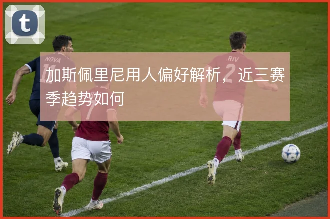 加斯佩里尼用人偏好解析，近三赛季趋势如何