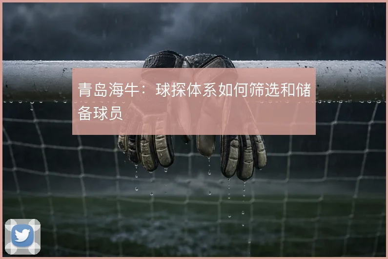 青岛海牛：球探体系如何筛选和储备球员